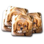 4 Set - Cavalier King Charles Spaniel Coaster - Puppy Dog Cute Baby #14978