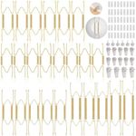 Tetutor 24 pcs Plate Hangers for Th