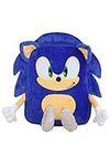AI ACCESSORY INNOVATIONS Sonic The 