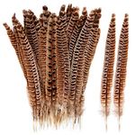 THARAHT 24pcs Female Ringneck Pheasant Tails Feathers Natural Feathers 8-10inch 20-25cm for Crafts Home Wedding Party Performance DIY Decoration Female Pheasant Feathers