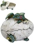 5 Inch Dragon Hatchling Cracked Egg