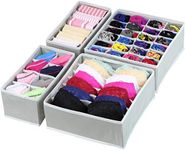 SimpleHouseware Closet Underwear Or