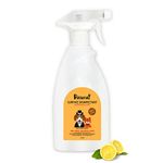 Petterati Pet-Safe Surface Disinfectant: Citrus | BKC and Alcohol Free, Pet-Safe Formula, Kills 99.9% Germs, Ideal for Pet Messes, Suitable for All Surfaces (500ml)