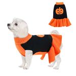 DELIFUR Dog Sweater Pumpkin Pet Costume Halloween Holiday Party for Cat and Puppy (M, Pumpkin Dress)