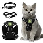 Cat Collars Harnesses and Lead Set Kitten Walking Escape Proof Adjustable Lead Vest Set For Ferret Puppy Rabbit,Kitten Lead and Harness Set with Reflective Strip Breathable Soft Mesh Cat Jacket(M)