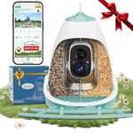 Smart Bird Feeder with Camera, Dual Seed Chambers & Squirrel-Proof, Solar-Powered HD Birdfeeder Camera with Free AI Birds Species Recognition, Real-Time App Alerts – Ideal Gift for Bird Lovers, Blue