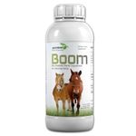 Horse Calming Supplements