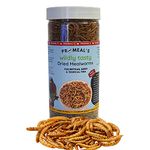 Pro-Meal Dried Mealworms - High Protien Treat Food For Aquarium Fishes Like Arowana, Flowerhorn And Birds, Reptiles, Monkeys And Other Pets (150Gm),All Life Stages, 1 Count