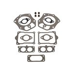 Briggs & Stratton # 843713 GASKET SET-VALVE