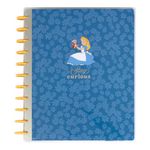 Happy Planner Disney Disc-Bound 12-Month Academic Planner, July 2024–June 2025 Daily, Weekly, and Monthly Planner with 3 Bonus Months, Big Size, Vertical Layout, Curious Alice, 21.59 x 27.94 cm