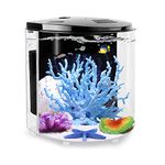 Fish Tanks For Beginners