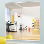Hasipu Home Gym Mirror 71"x32"(Each