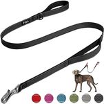 Fida 4 FT Heavy Duty Dog Leash with