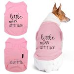 Parisian Pet Funny Cute Dog Cat Pet Shirts Caution Can't Control My Licker, I Work Out, Little Monster, WTF, BFF, Bling $, Got Treats, Babe Magnet, Little Miss Attitude (Little Miss Attitude, XL)