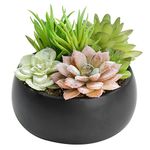 MyGift Mini Artificial Succulent Arrangement in Black Ceramic Planter Bowl (Assortment 3)