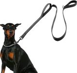 Training Leash For Large Dogs