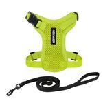 Voyager Step-in Lock Pet Harness - All Weather Mesh, Adjustable Step in Harness for Cats and Dogs by Best Pet Supplies - Lime Green, XXS