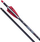 TenPoint CenterPunch HPX - Pack of Six - Non-Lighted 20” Carbon Arrows with Alpha-Nock HPX - Compatible with All TenPoint & Wicked Ridge Crossbows