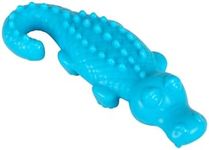 Arm & Hammer Ora-Play Denta-Saurus Gator Dental Chew Toy for Dogs | Best Dog Chew Toy for The Toughest Chewers | Reduces Plaque & Tartar Buildup Without Brushing, Gator