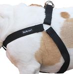 Cotton Web Adjustable Dog Step-in Harness 4 Sizes Black (XLarge: 21"-37" Chest; 1.2" Wide)