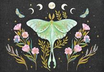 Luna Moth Note Cards (14 Cards, 15 Self-Sealing Envelopes)