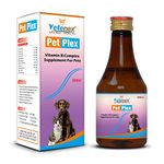 VETENEX Pet Plex - Vitamin B-Complex & Amino Acids Supplement Syrup | Better Health & Growth for Dogs, Puppy and Cats - 200 ML