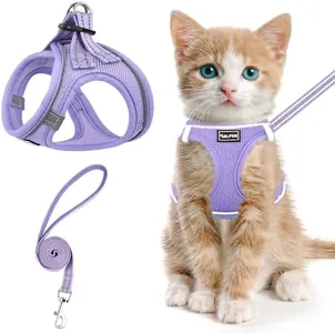 SALFSE Cat Harness and Leash for Walking Escape Proof, Adjustable Kitten Vest Harness Reflective Soft Mesh Puppy Harness for Outdoor, Comfort Fit, Easy to Control (Purple, L)