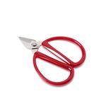 R&R SHOP - 12 cm Precision Steel Scissors, with Wide Handle and Small Blade for Maximum Precision and Cutting Force, Red