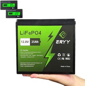 ERYY 12V 2