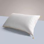 SleepyCat Microfiber Cloud Pillow with Adjustable Zipper Set of 4 ((Standard Size, 27x18 Inches) White