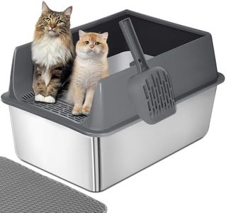 Cat Litter