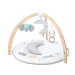 aden + anais Baby Play and Discover Activity Gym – 100% Cotton Muslin – 3 Attachable Toys, Plush Tummy Time Pillow, and Mirror – Rising Star