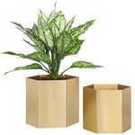 MyGift Handcrafted Metallic Shiny Brass Metal Indoor Plant Vase Pot with Hexagon Shape, Decorative Succulent Cactus Planter Container, Set of 2 - Handmade in India