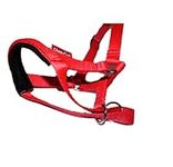 Headcollar Dog Halter/Training Head Collar Training Tool Dog, Head Harness to Stop Pulling on the Lead, Easy to Use, Padded Nose Band, Adjustable (3, Red)