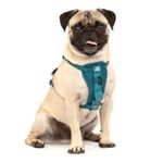 Kurgo Enhanced Strength Tru-Fit Dog Car Harness, Small, Ink Blue