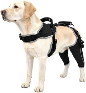 LISPOO Dog Knee Support for ACL Tear Rehabilitation and Dislocated Patella -Adjustable Leg Support and Sufficient Breathability,Injury Recovery and Balance Assistance-Both Leg/XL Size
