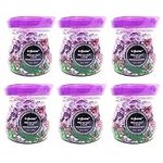 6 Fresh Lilac Scent Odor Eliminator