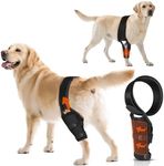 OJLUOJ Dog Knee Joint Metal Sheet S