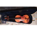 Intermediate Violin