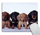 Wasach Dachshund Puppies Mouse Pad, Mousepad (Dogs Mouse Pad) 9.5 X 7.9 Inch (240mmX200mmX3mm)