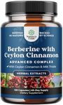 Balancing Berberine Plus 1200mg Per Serving Complex - Antioxidant Berberine with Ceylon Cinnamon Capsules Plus Silymarin Milk Thistle Extract -Active PK for Heart Health and Sugar Support 120 Capsules