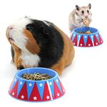 HAYPIGS Guinea Pig Bowl - Circus Themed Junior FOOD CRAVING TAMER Mini Guinea Pig Food Bowl - Hedgehog Bowl - Hamster Bowl - Small Animal Food Bowl