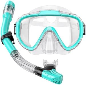 Lealinga Snorkel Set Adults Snorkel Mask Anti-Fog Panoramic View Diving Mask Dry Top Snorkel Kit with Travel Bag Diving Set for Snorkeling Scuba Diving Swimming Travel