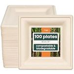 HAAGO - Heavy Duty Premium Sugarcane Paper Plates, Bagasse Eco-Friendly Compostable Biodegradable Square Plates for BBQ's, Party, Wedding, Outdoor Events (100, 20cm / 8")