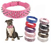 Hoot PU Leather Adjustable Spiked Studded Dog Collar 2" Wide 43 Spikes (L(Neck 21"-24"), Rose Red) (XS(Neck:15"-18"),Rose Red)