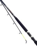 DAIWA D Wave Uptide Sea Fishing Rod 9'6' / 4-10oz - DWU410-BU