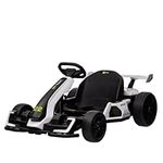 Kerry Yoo 24V Electric Go Kart for 