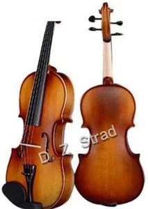 D Z Strad 4/4 Violin Model 100 with Solid Wood with Case, Bow, and Rosin (Full Size - 4/4)