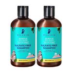 PILGRIM Korean Mild Sulphate Free Shampoo with Argan Oil Pack of 2 (200ml X 200ml) For Dry Frizzy Hair, Men and Women, No Sulphate No Paraben,All Hair type,Korean Beauty Secrets