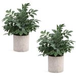 Coferset 2 Pack Small Fake Plants Potted Artificial Herb Plants for Shelf Desk Home Bathroom Farmhouse Room Coffee Table Decor (Gray Green)